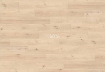 Haro Tritty 90 ДИЗАЙН ВУД ГАРМОНИЯ 535237 фото 1 | FLOORDEALER